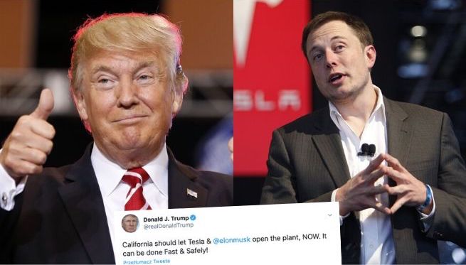 Donald Trump poparł Elona Muska, który nielegalnie otworzył fabrykę Tesli
