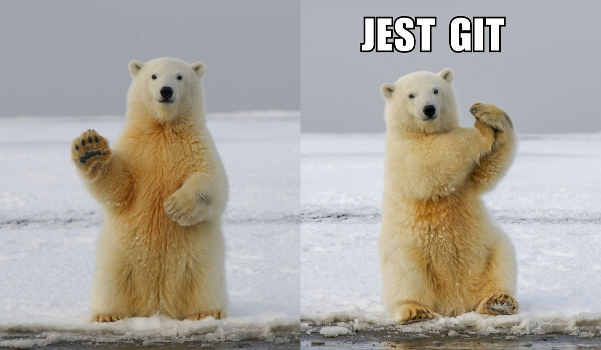 Norwegia: naukowcy zaskoczeni dobrą formą misiów polarnych, pomimo zmian klimatu są dorodniejsze