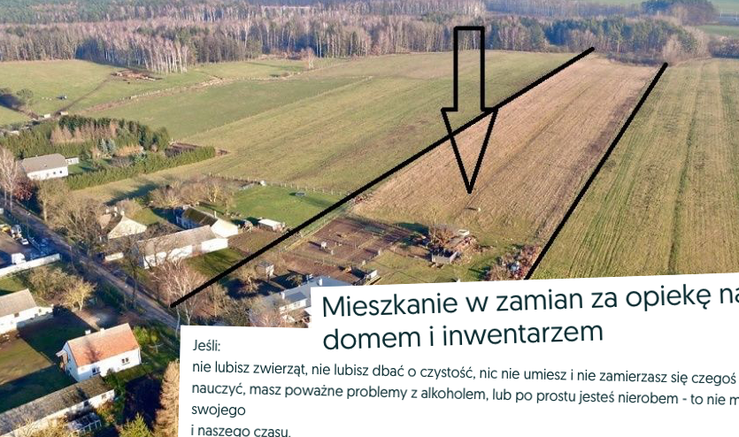 Ktoś na OLX zaproponował pańszczyznę: mieszkanie na wsi w zamian za pracę na gospodarce