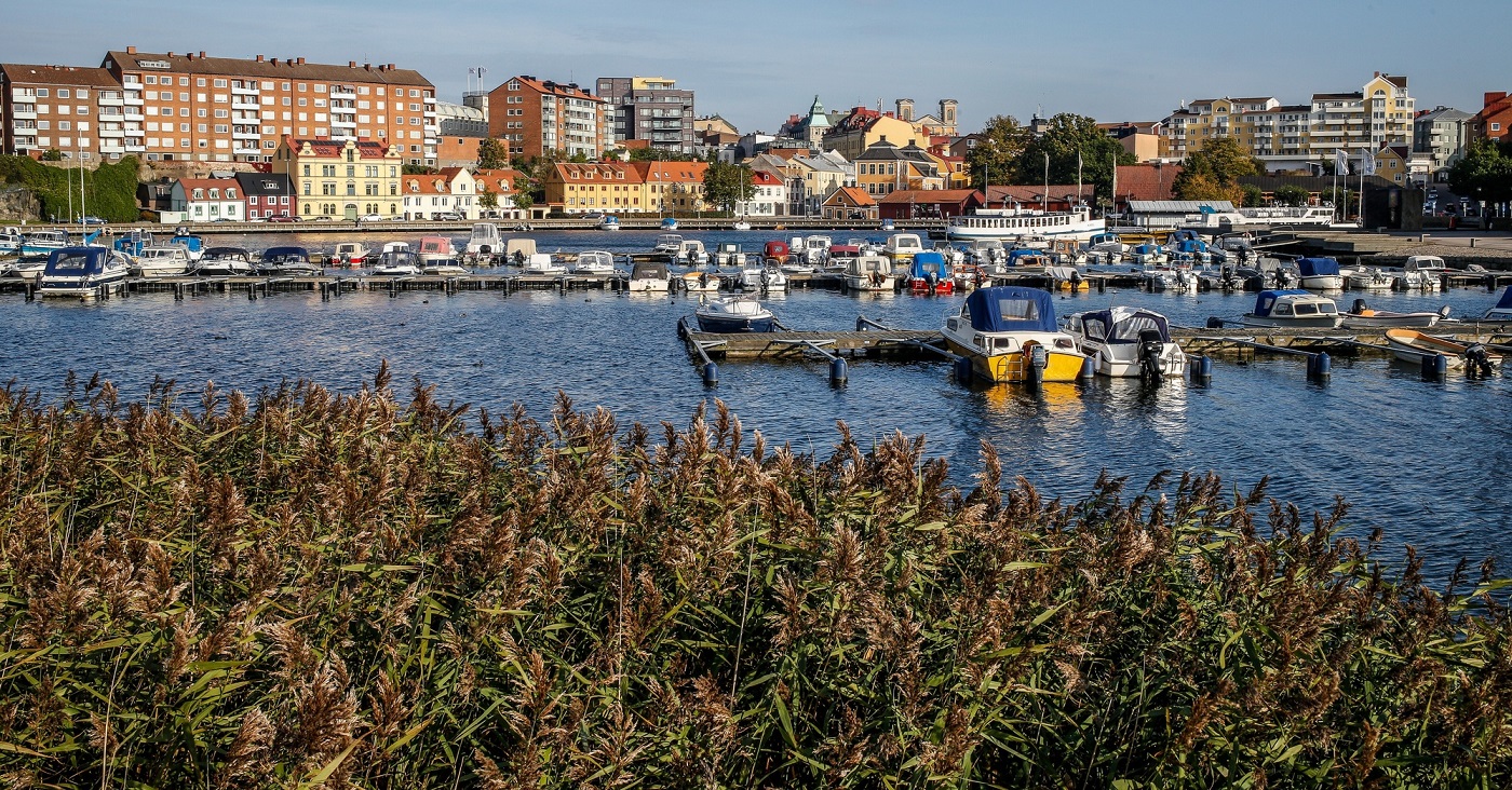 Imigranci z Polski najchętniej głosują na antyimigrancką partię