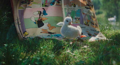 Nowa animacja Disneya: kaczuszka czyta komiksy o Kaczorze Donaldzie