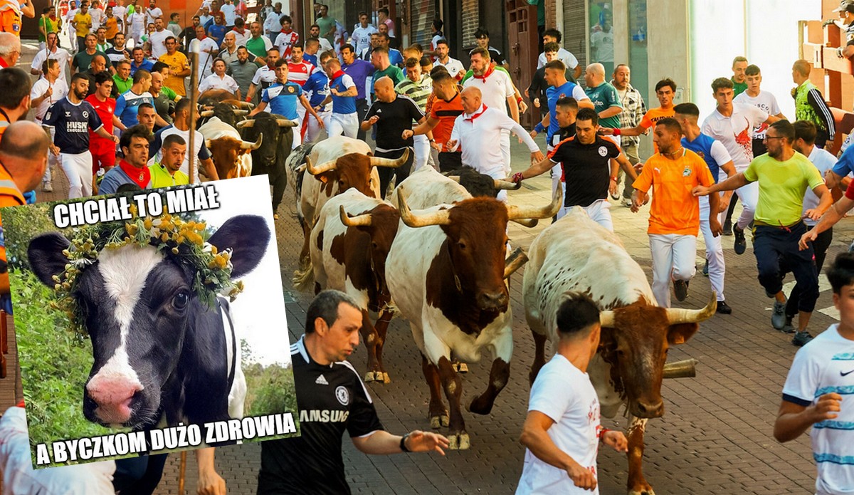 Zmarła jedna z osób pchająca się na gonitwy byków, okrutnej zabawy w Walencji