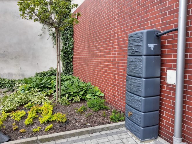 Katowice: miasto szykuje się na suszę, sieje łąki i montuje zbiorniki do łapania deszczówki