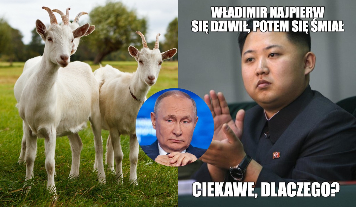 Rosja śle setki kóz do Korei Północnej w ramach specjalnego transportu pomocowego