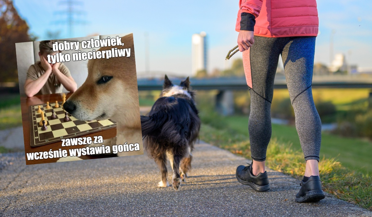 Austria zmienia prawo tak, żeby przyszli właściciele psów przechodzili najpierw kursy podstaw opieki i tresury