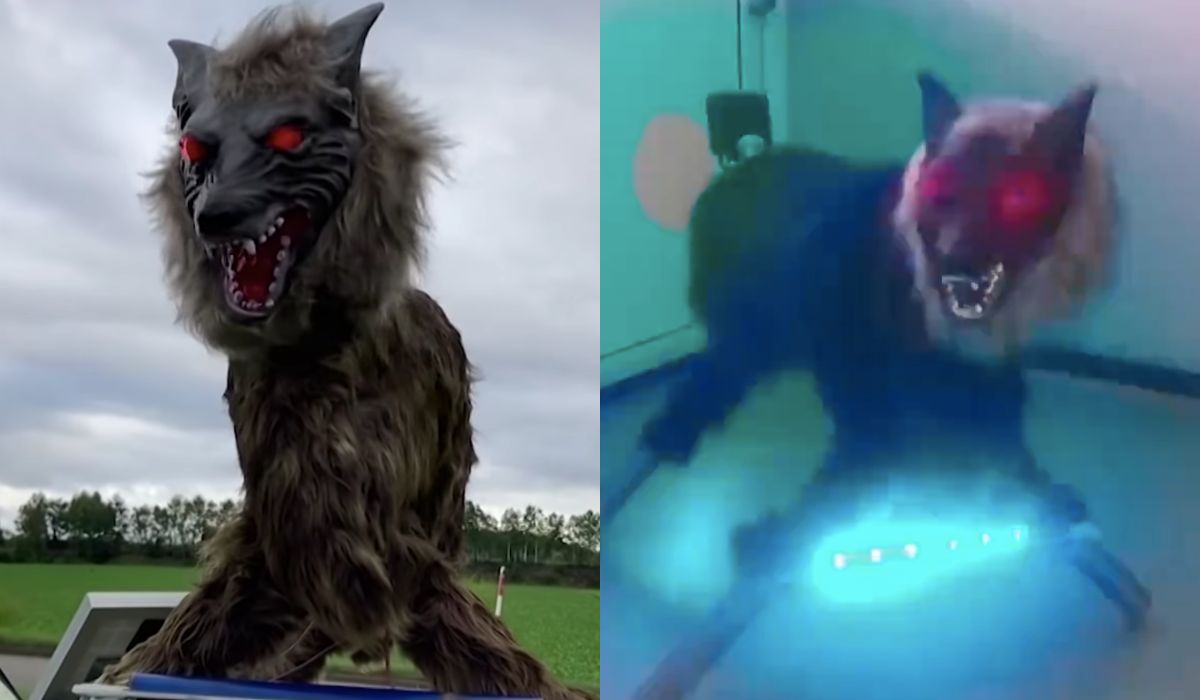 Japonia inwestuje w robowilki, żeby odstraszać niedźwiedzie i chronić wyludniające się gospodarstwa