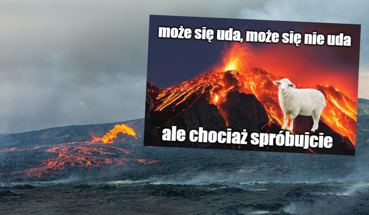 Islandia: służby ratownicze podejmą próbę ratowania niemal 300 owiec przed lawą