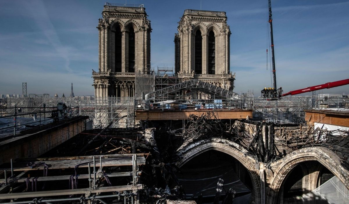 Do odbudowy Notre Dame trzeba będzie wyciąć tysiąc 200-letnich dębów