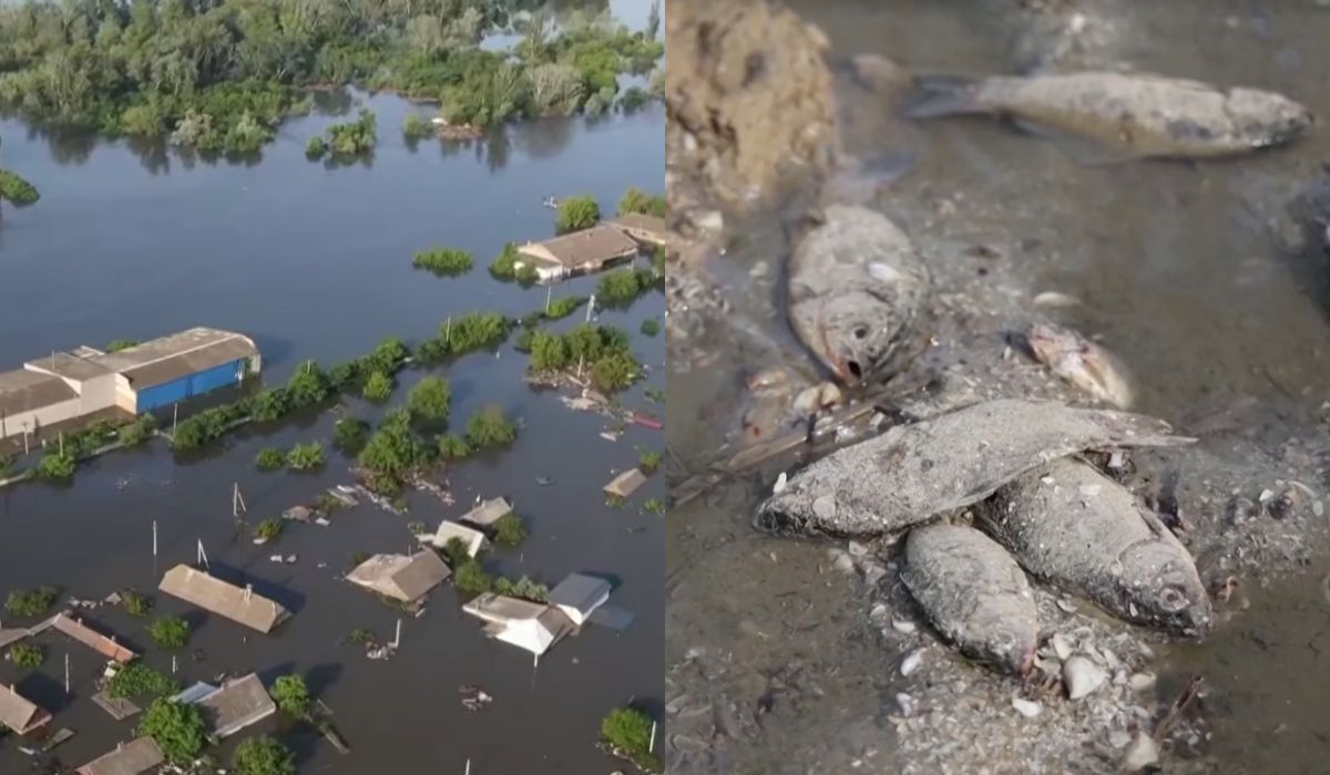Ukraina: na okupowanych terenach zaczął się problem z cholerą, okupanci szczepią swoich ludzi