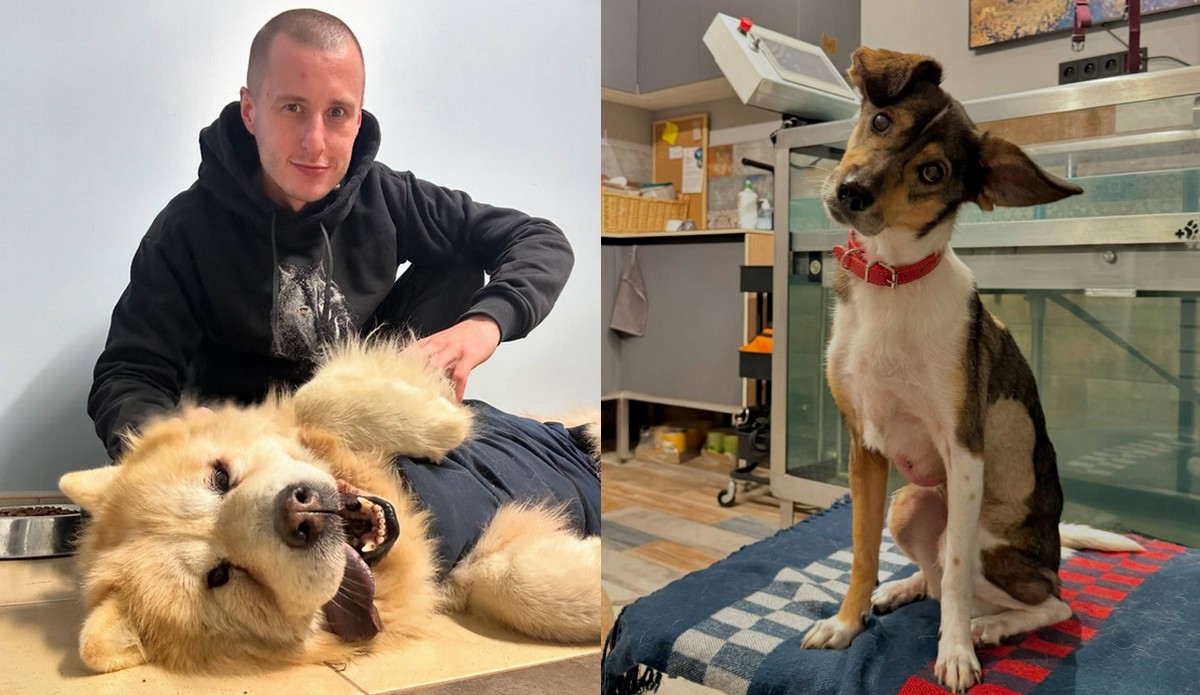 CBŚP zajmuje się organizacją DIOZ, zarzuca się im oszustwa i bezprawne odbieranie zwierząt