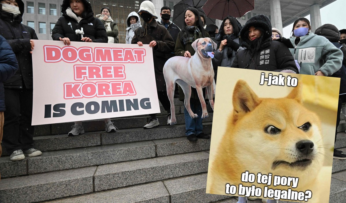 Korea Południowa zakazała handlu psim mięsem