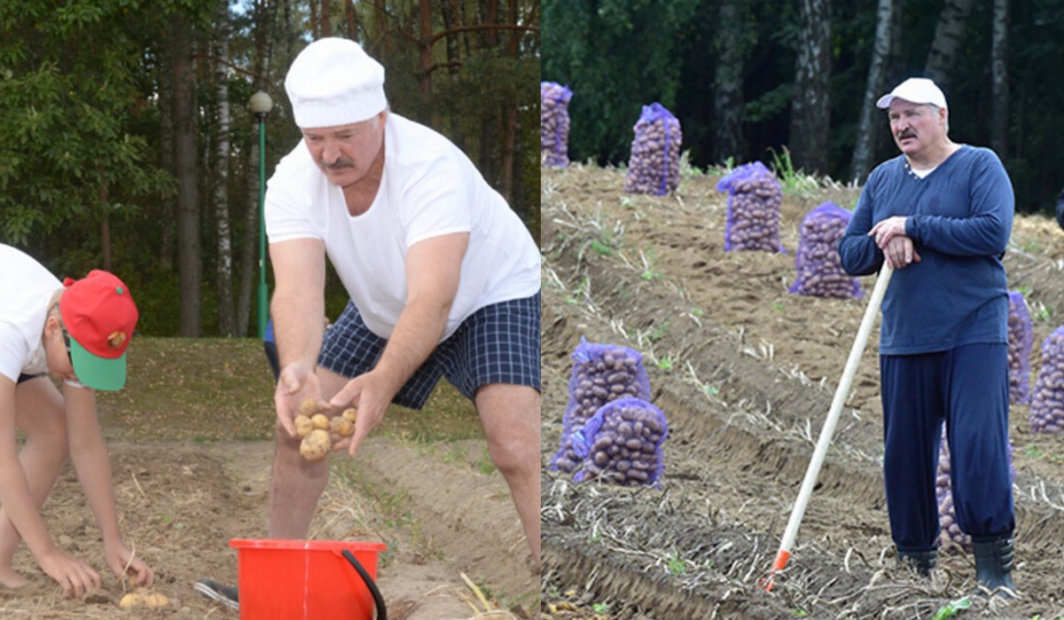 Łukaszenka zmienia prawo, brak kartoszków w ofercie sklepów będzie karalny
