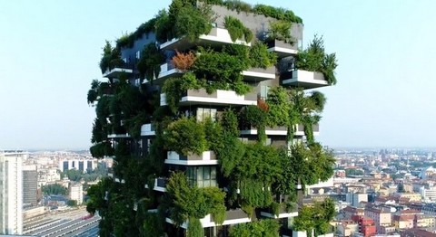 Wzrost zainteresowania pionowymi lasami