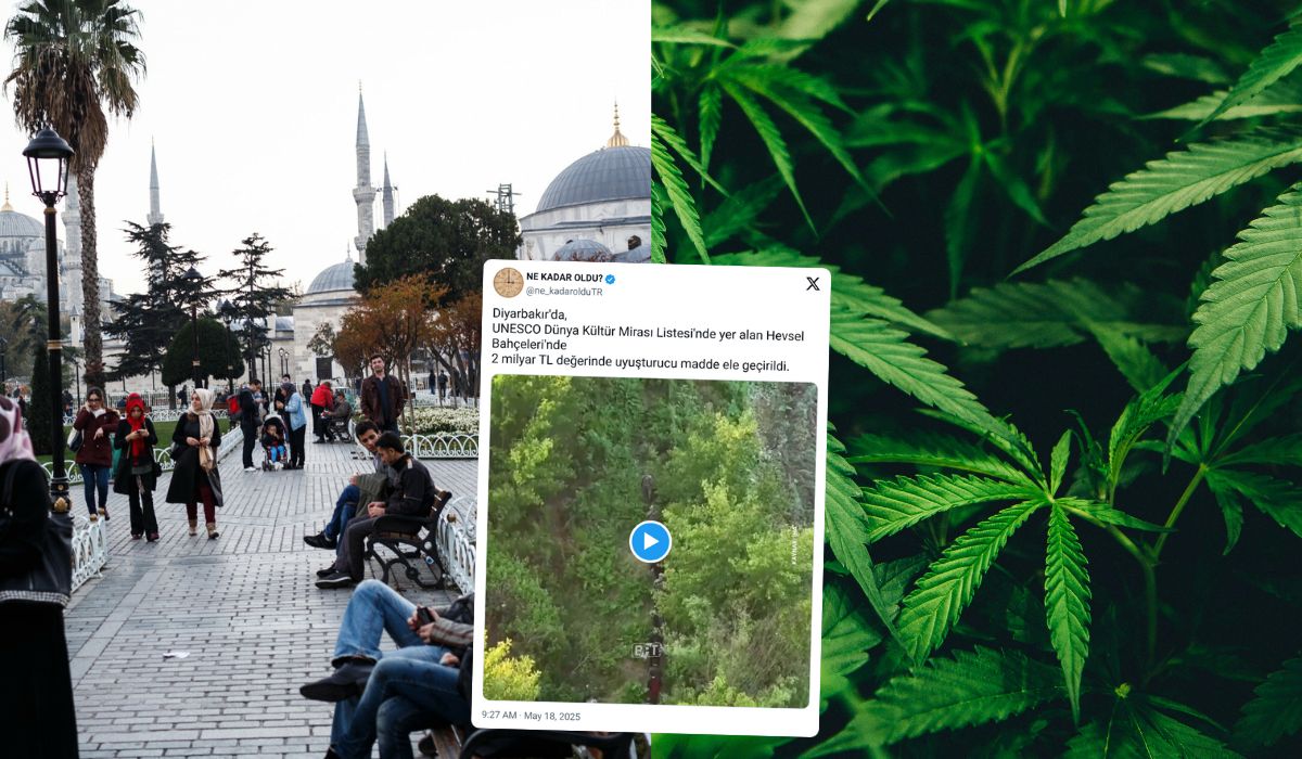 Turcja: na terenie z listy UNESCO odkryto ogromną, rozproszoną na 700 hektarów uprawę zielska