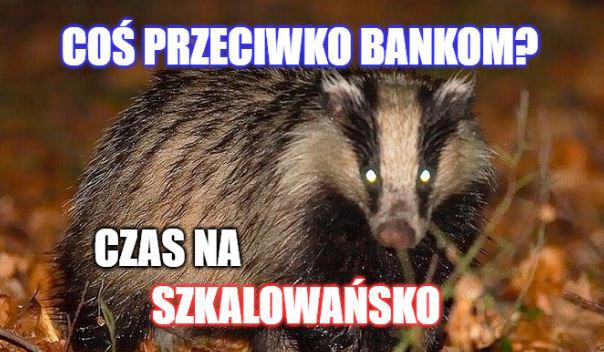 Wściekły niczym borsuk Ziemkiewicz krytykuje Konfederację za "lewactwo"