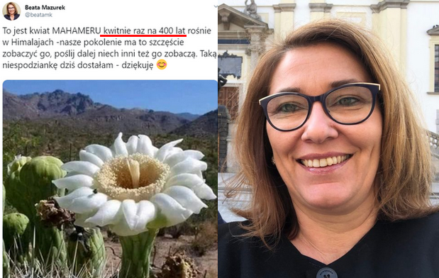Beata Mazurek udostępnia fejkowy łańcuszek z kwiatem, "który kwitnie raz na 400 lat"