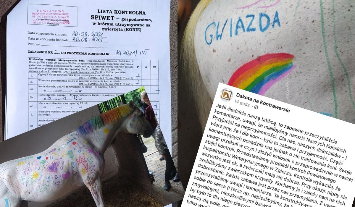 Afera z malowanym koniem skończyła się kontrolą, która wykazała, że zwierzęta są zadbane i mają się jak najlepiej