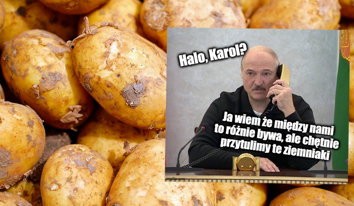 Jakoś tak wyszło, że w Polsce wyrosło za dużo ziemniaków i rolnicy proszą rząd o pomoc