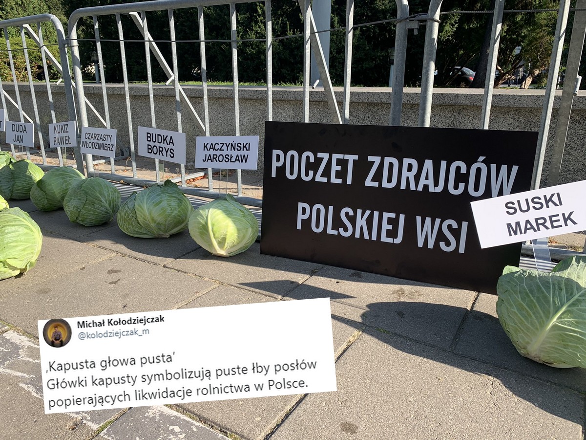 Protest Agrounii: 356 kapuścianych głów przed Sejmem. "Symbolizują puste łby posłów popierających likwidacje rolnictwa w Polsce"