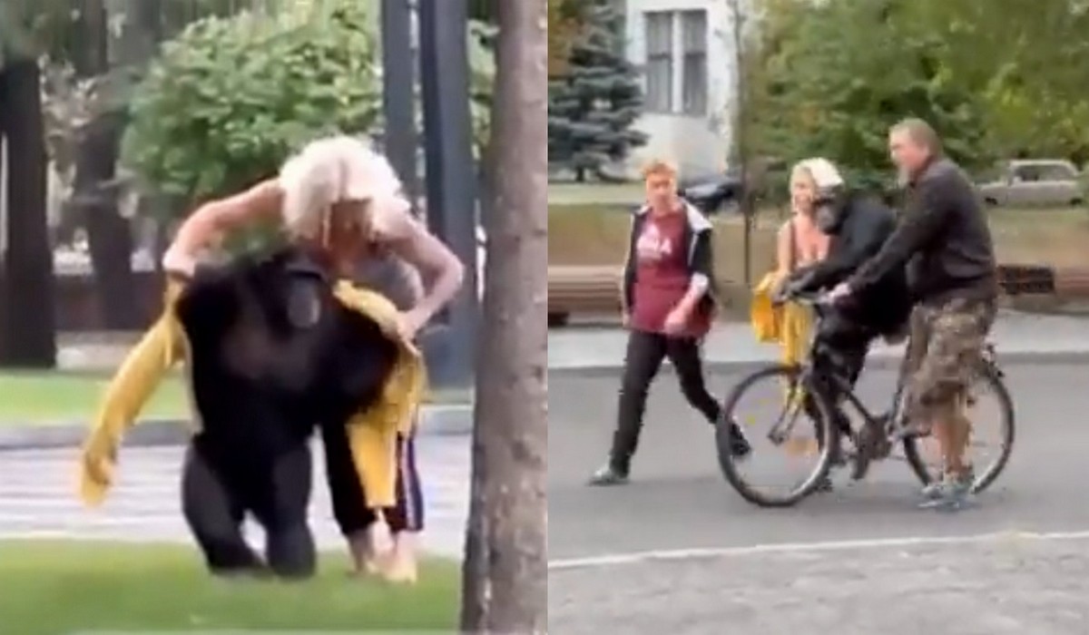 Ukraina: pracownica zoo odnalazła szympansicę-uciekinierkę, podarowała jej ulubioną bluzę i zaprowadziła z powrotem do zoo