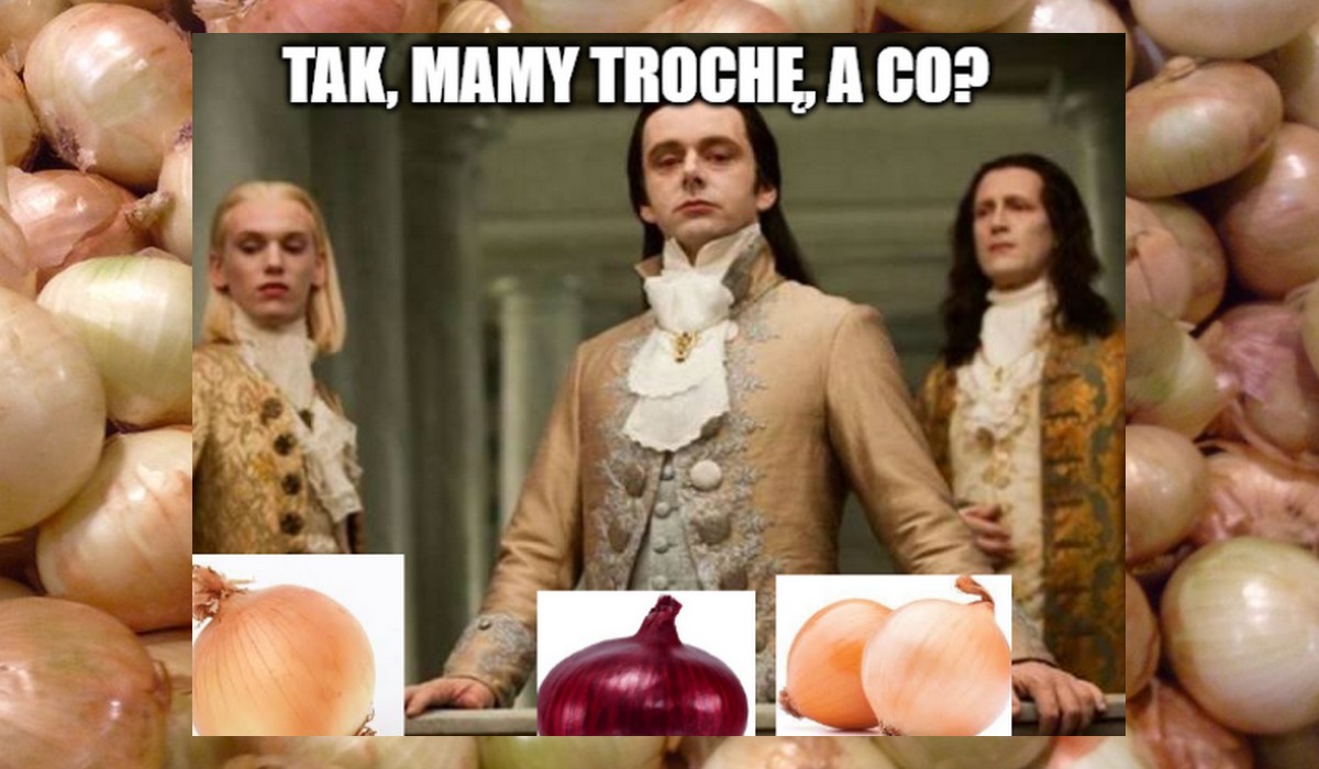 Europa spragniona polskiej cebuli, ceny wzrosły trzykrotnie i mogą rosnąć dalej