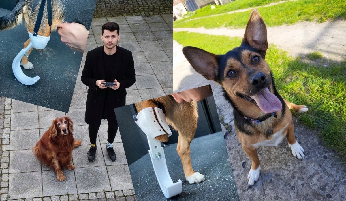 Wrocław: może chcesz zobaczyć jak drukowane protezy pomagają okaleczonym psinkom