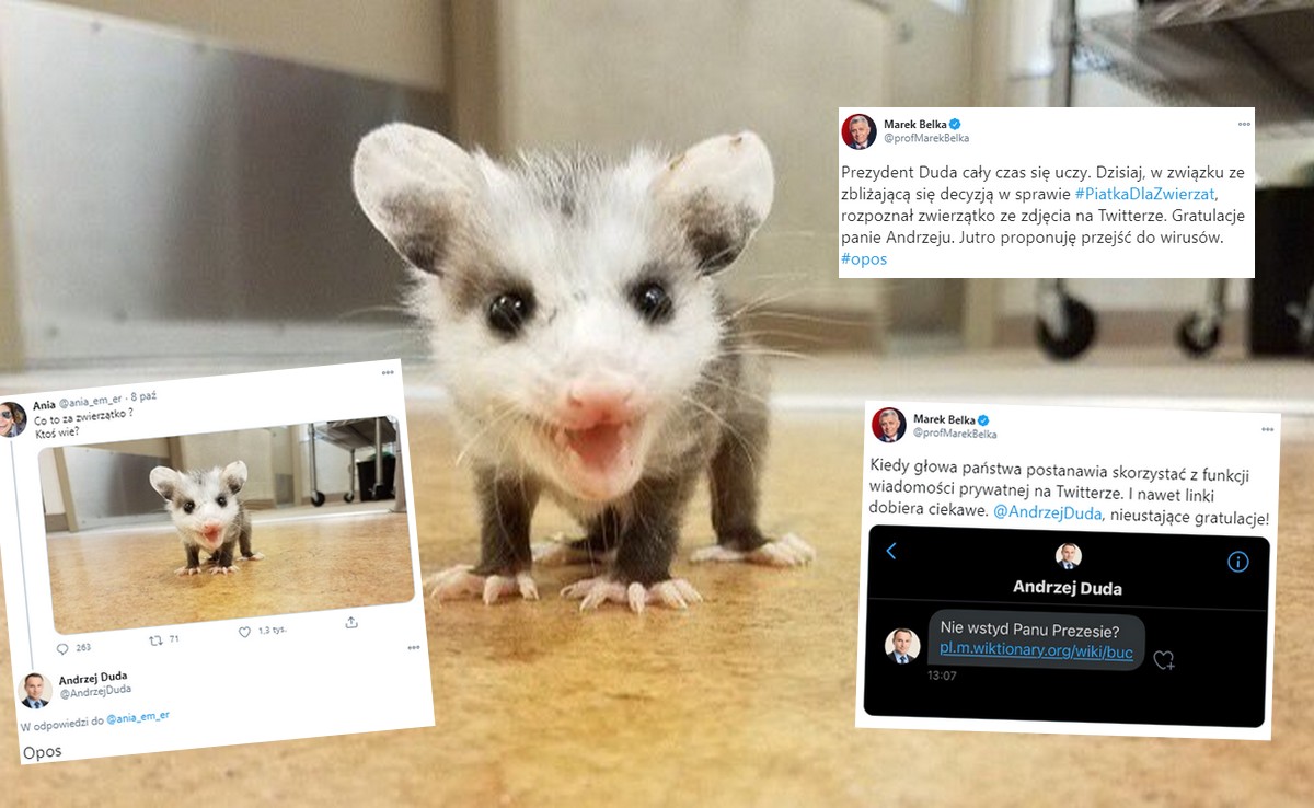 Belka pokazał prywatną wiadomość od prezydenta Dudy. "Nie wstyd Panu, Prezesie?" 