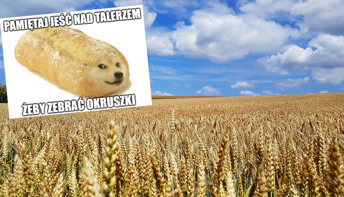 Młynarze alarmują, że nie bardzo mają z czego robić chlebek, chcą rządowej interwencji