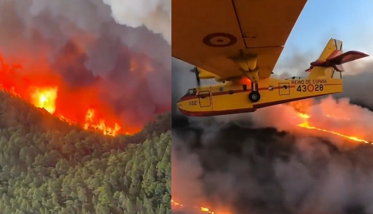 Teneryfa: w ciągu kilku dni spłonęło 8,5 tys. ha lasów, czyli ponad jedna trzecia zasobów wyspy