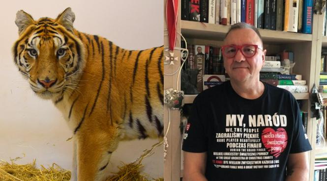 Owsiak włącza się w pomoc tygrysom z poznańskiego zoo
