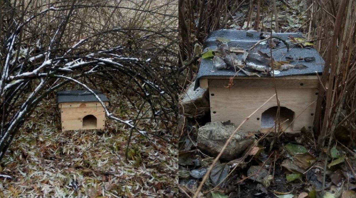 Częstochowa: w ramach budżetu obywatelskiego zakupiono domki dla jeży
