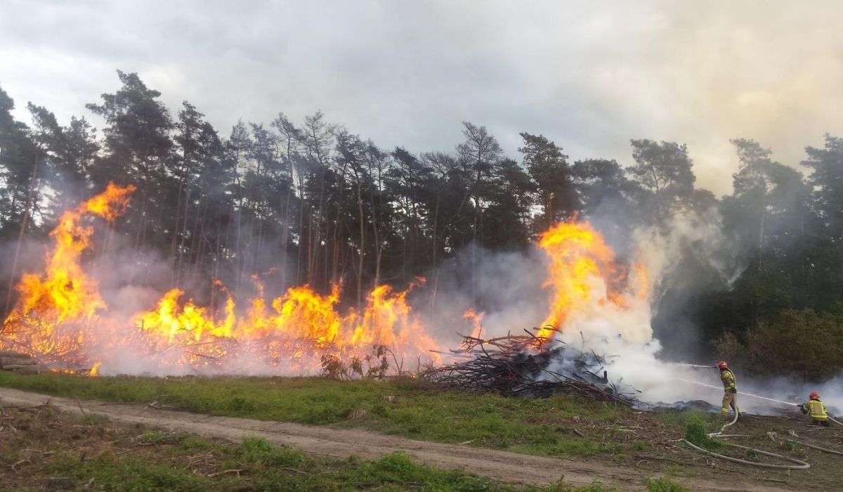 15-latek przyznał się do podpalenia Puszczy Bieniszewskiej