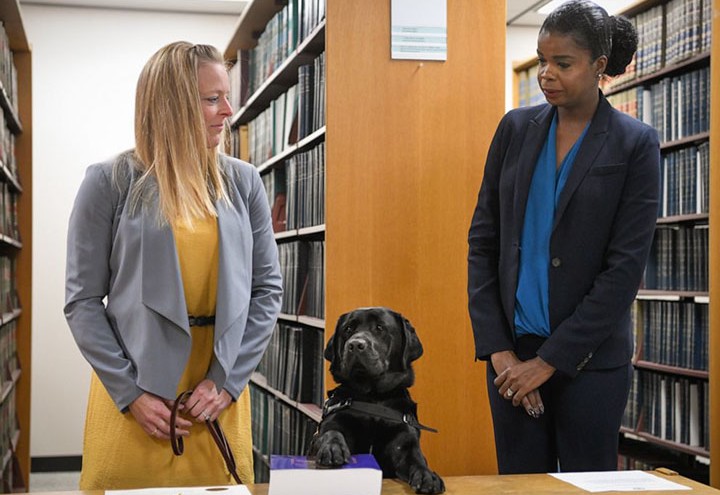 Pies imieniem Hatty zaprzysiężony do biura prokuratora, będzie wspierał ofiary g*ałtu