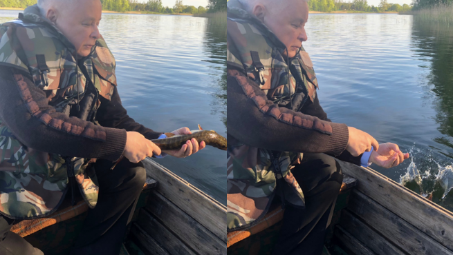 Kaczyński darował życie dwóm szczupakom