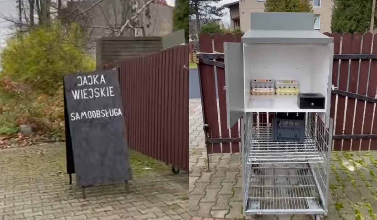 Pan Jarosław z Sączowa sprzedaje samoobsługowo jajka przy płocie. "Ludzie są uczciwi, nie kradną"