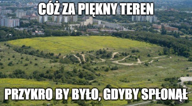 Tajemniczy pożar na Górkach Czechowskich, na których chce się budować deweloper