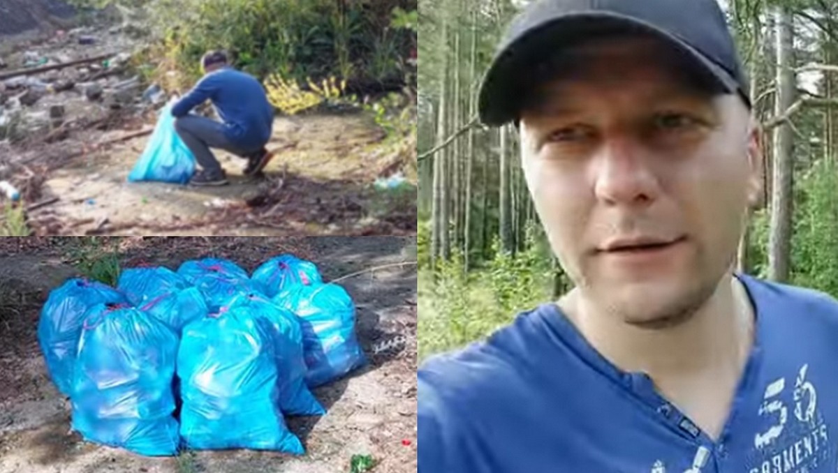 Zielona Góra: ktoś sam z siebie wysprzątał kawał lasu, Urząd Miasta szuka sprawcy, żeby chociaż podziękować