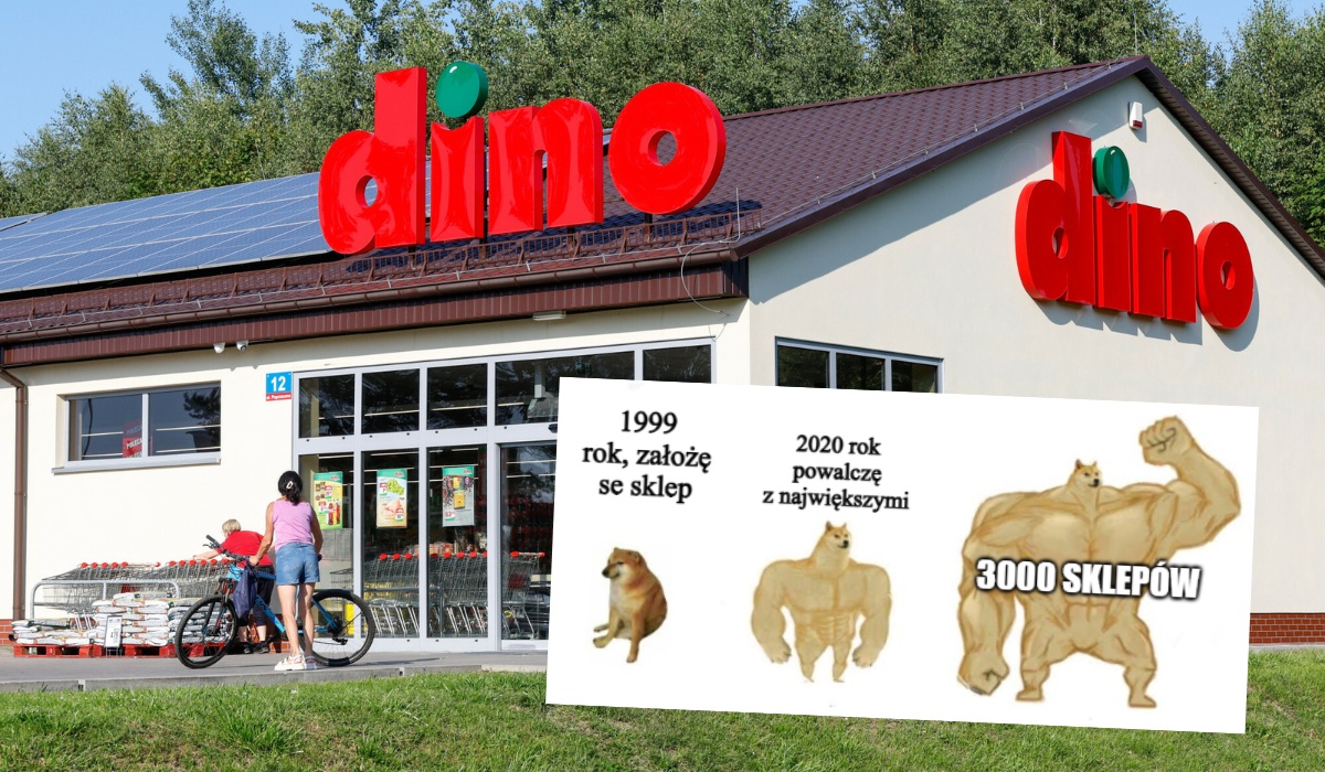 Dino robi masę i jeszcze w tym roku będzie miał 3000 sklepów 