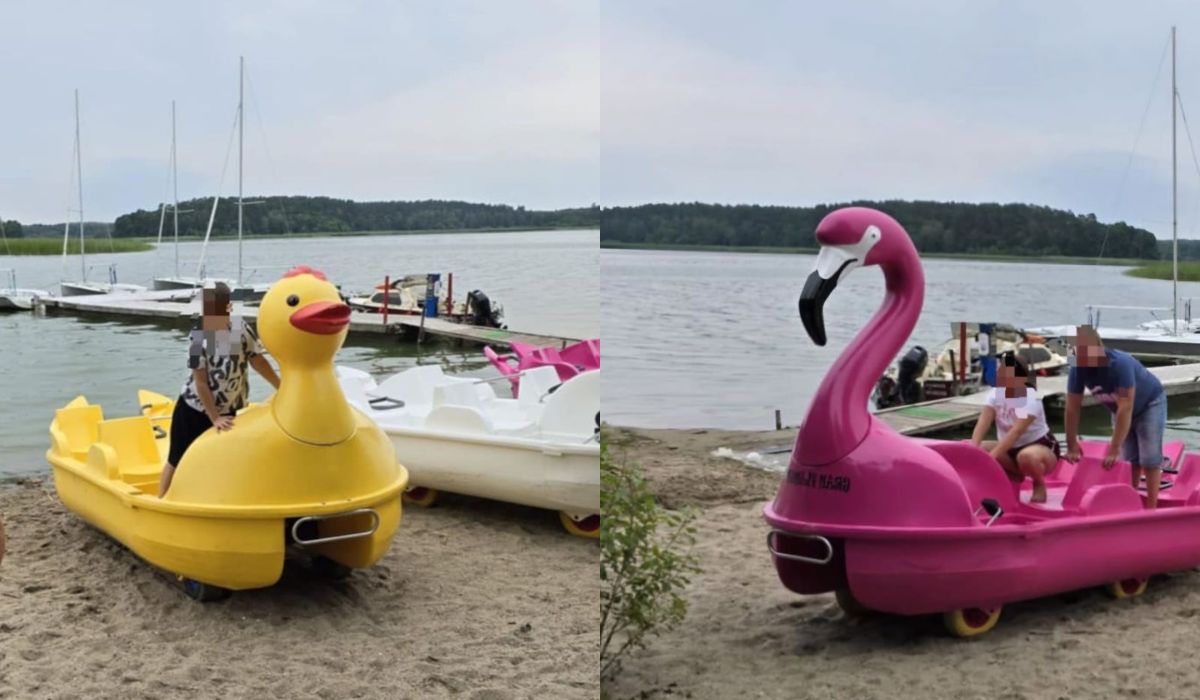 Chojnice: złapano złodziei, którzy ukradli wielką kaczuchę i wielkiego flaminga