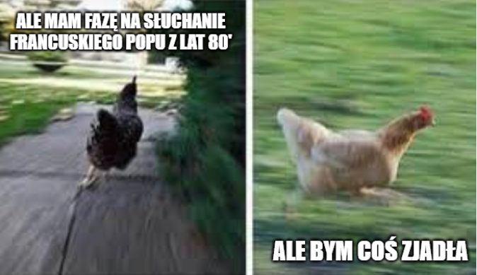 Tajlandia: jedna z kurzych ferm eksperymentuje z karmieniem kurczaków marihuaną i wychodzi im to na dobre