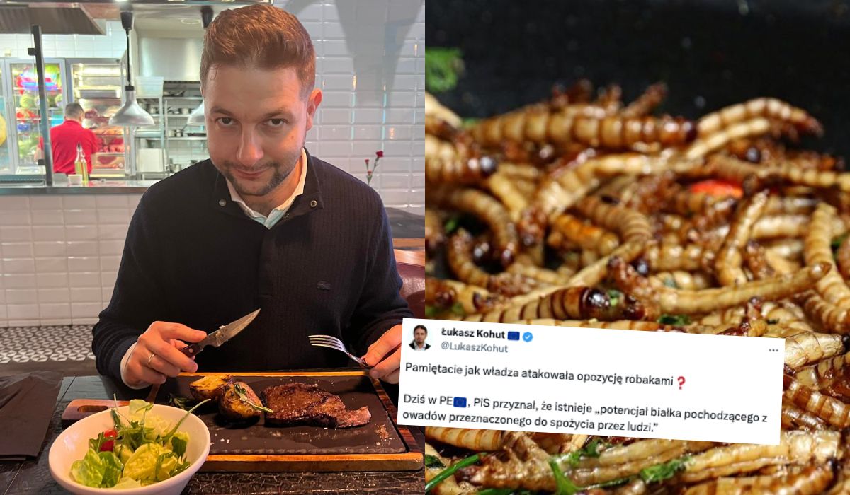 Patryk Jaki najpierw straszył jedzeniem robaków, a teraz zagłosował za europejską strategią w sprawie białka