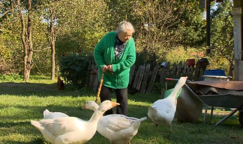 Mieli popilnować domu, a wyremontowali i wszystkim jest bardzo miło