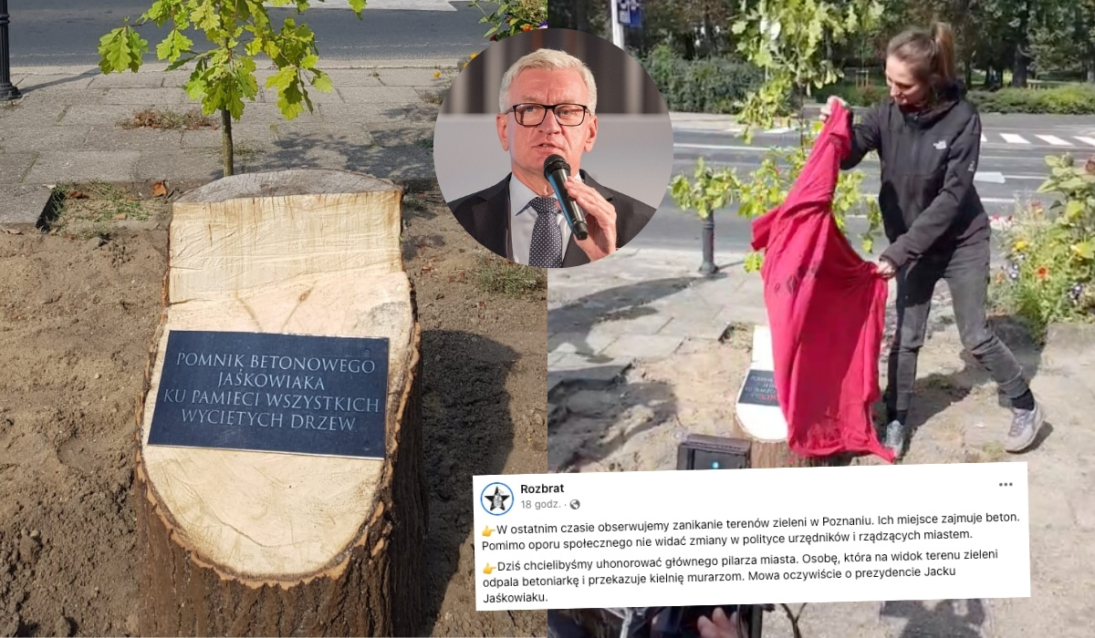 Poznań: aktywiści uhonorowali walkę prezydenta Jaśkowiaka z miejską zielenią pomnikiem ściętego drzewa