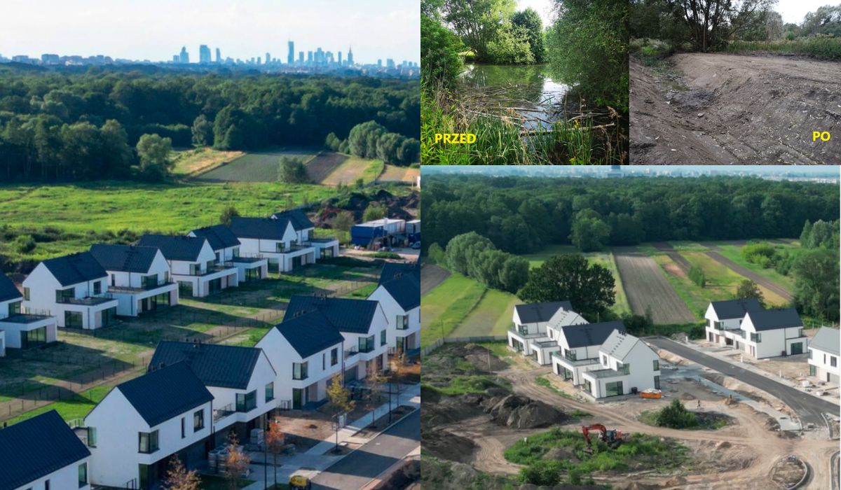 Aktywiści oskarżają dewelopera: osiedle powstało przez niszczenie siedlisk bobrów