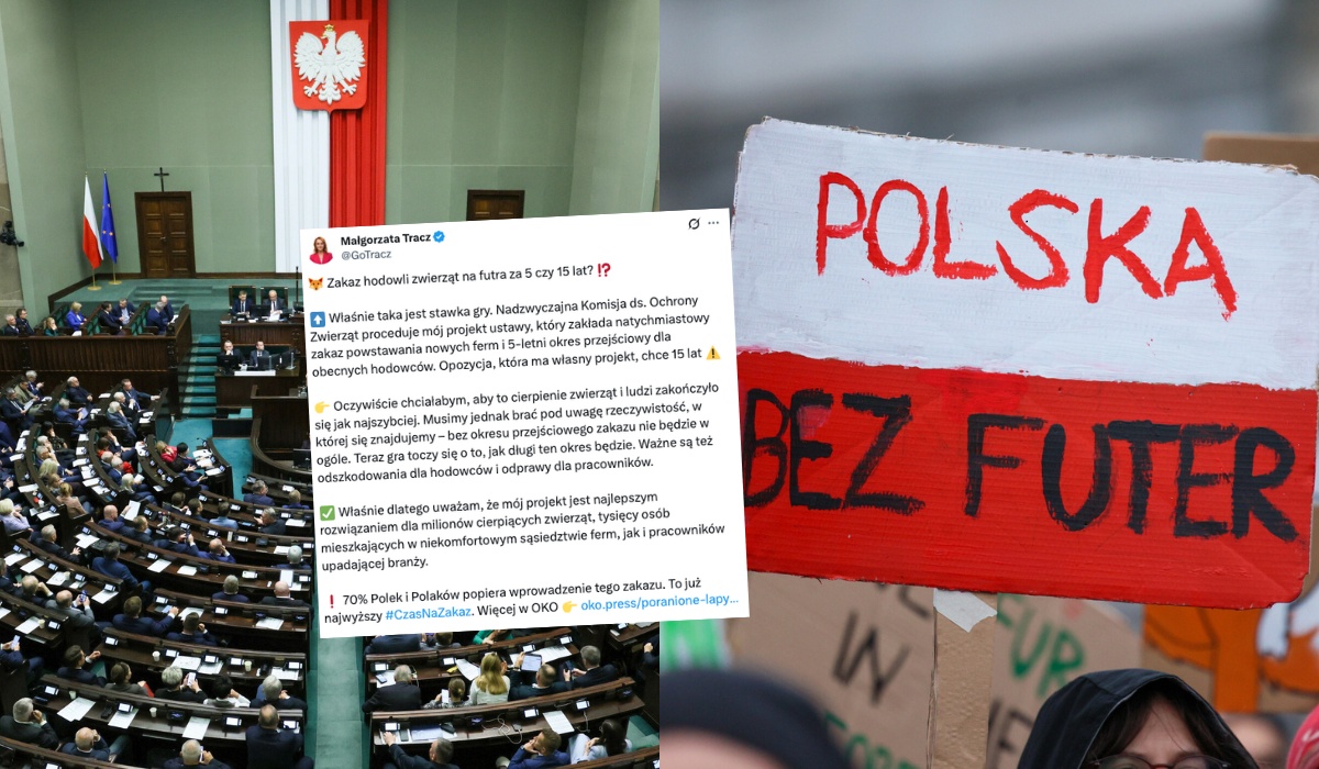Sejm ponownie, po raz siódmy, pracuje nad zakazem hodowli na futra