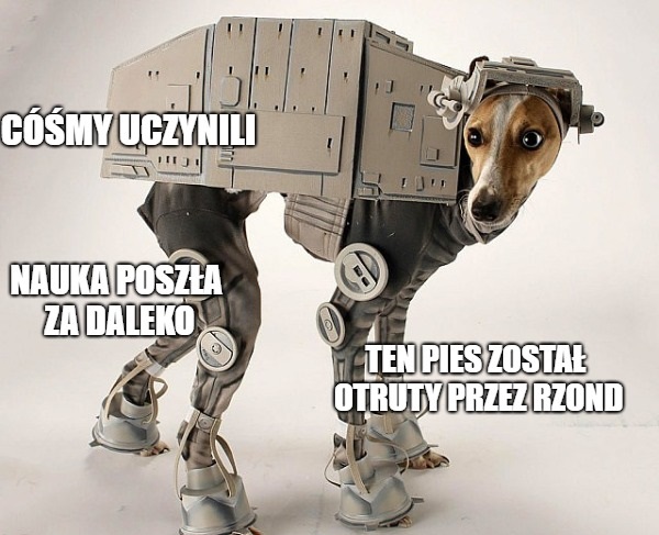 Skąd ta pseudonauka? "To tylko teoria" gościnnie w donald.pl