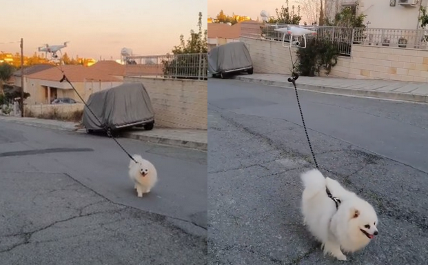 Cypr: jeden z mieszkańców widowiskowo wyprowadza psa dronem