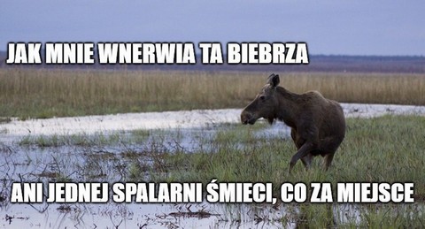 Inwestor chce postawić spalarnię śmieci nad Biebrzą, bo może