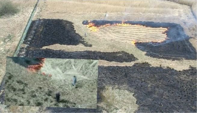 Mazowsze: policyjny dron namierzył trzech mężczyzn, którzy podpalali trawy