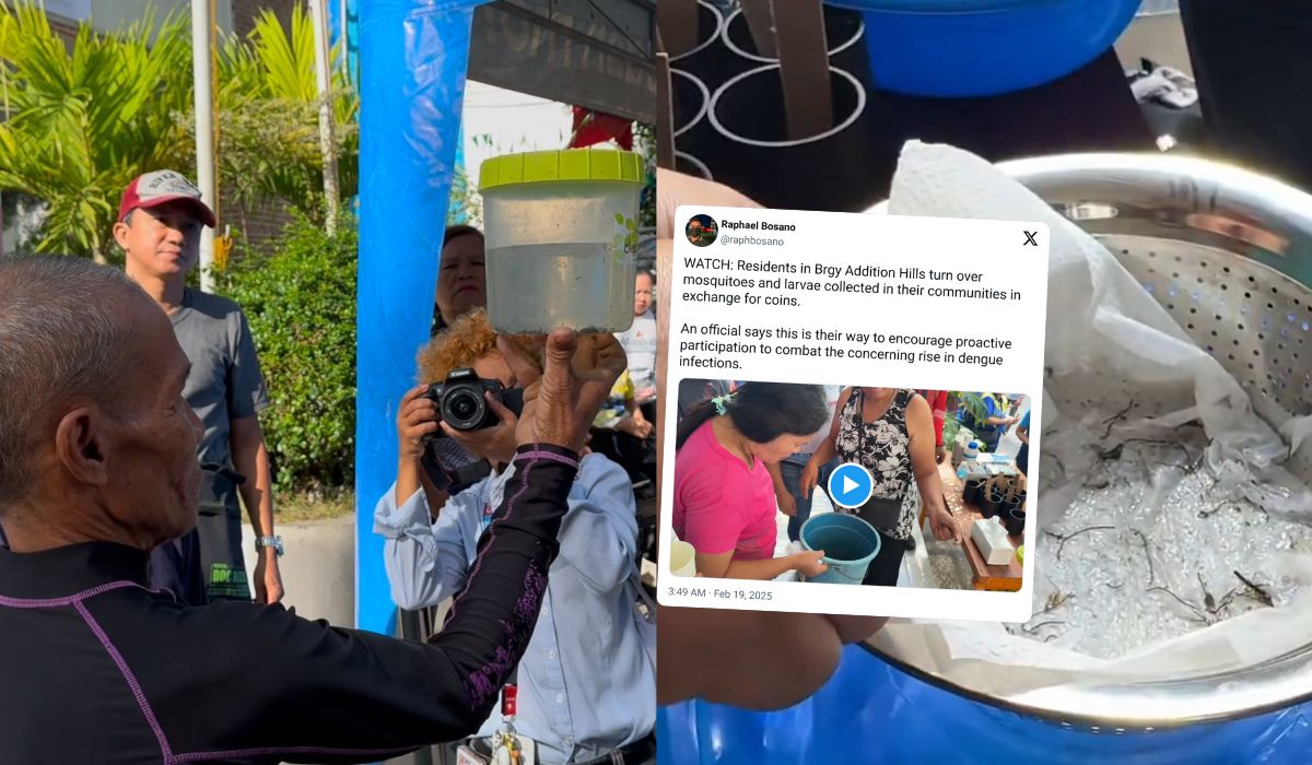 Filipiny: władze ogłosiły nagrodę za łapanie komarów, chcą walczyć z przenoszeniem dengi